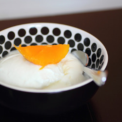 Homemade Yogurt