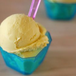 Mango Coconut Ice Cream