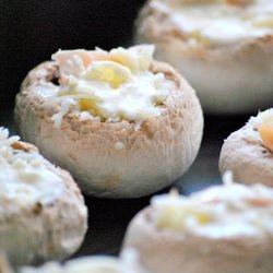 Appetizer Mushrooms