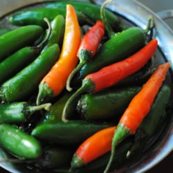 Serrano Hot Sauce