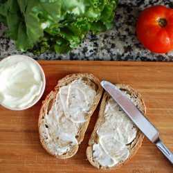 Homemade Mayo