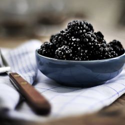 Berry Dessert