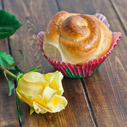 Cinnamon Roses