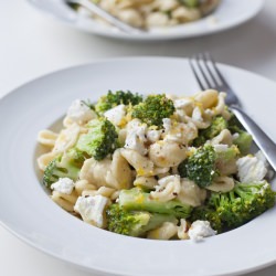 Brocolli & Goats Cheese