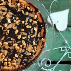 Peanut Butter Cheesecake