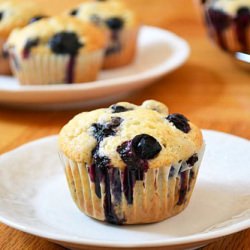 Blueberry Muffins