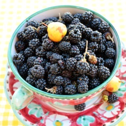 Blackberry Marmalade