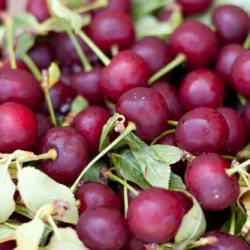 Small Batch Tart Cherry Jam