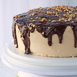 Chocolate Peanut Butter Cake