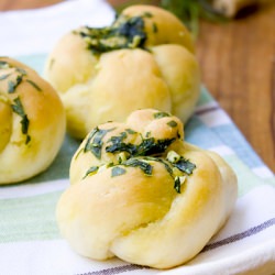 Lovely Garlic Knots