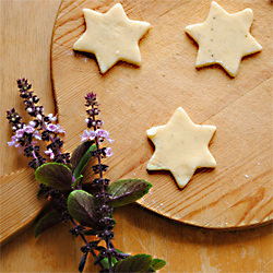 Lemon Myrtle Stars