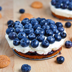 Blueberry Mascarpone Cheesecake