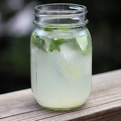 Gin Lime Rickeys w/ Cilantro