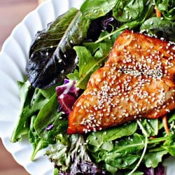 Orange Glazed Salmon Salad