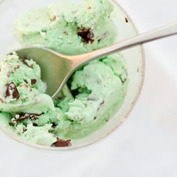 Mint Chocolate Chip Ice Cream