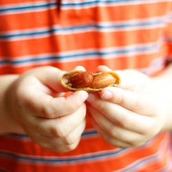 Boiled Peanuts