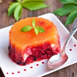 Fruit Terrine