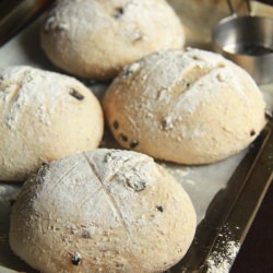 No-Knead Olive Bread
