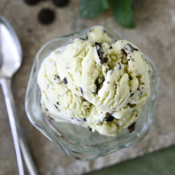 Mint Chocolate Chip Ice Cream