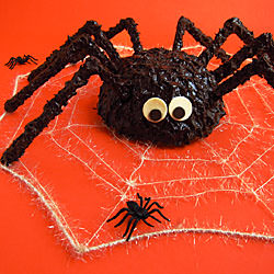 Spider Cake