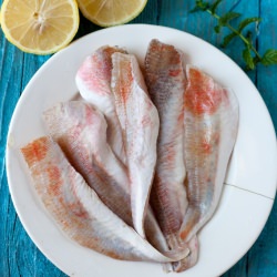 Tub Gurnard with Herb Dressing