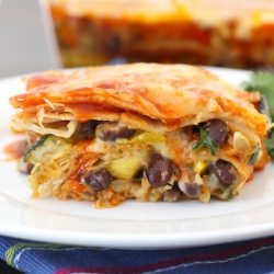 Vegetable Enchiladas