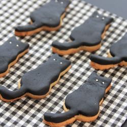 Cat’s Cookies
