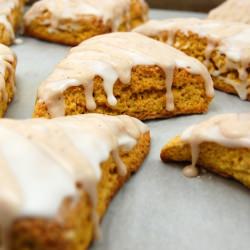 Pumpkin Roundup