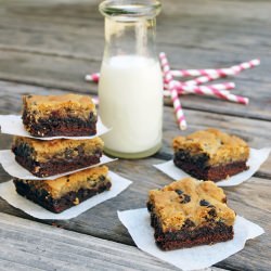 Chocolate-Chip Topped Brownies