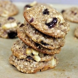 Apple Oat Cinnamon Raisin