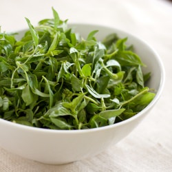 Pesto Basil: 10 Ways to Enjoy It