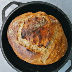 No Knead Bread