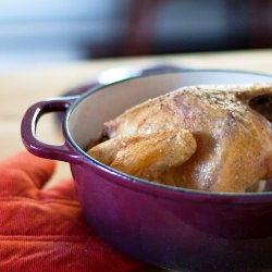 Roasted Chicken