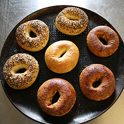 Bagels