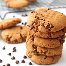 Sunbutter Chocolate Chip Cookies