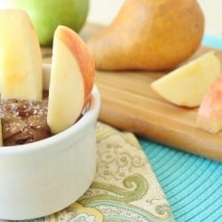 Salted Choc. Sunflower Seed Dip