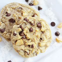 Chocolate Coconut Macadamia Cookie