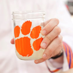 Tailgating Food at Clemson