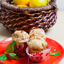 Lemon Poppy Seed Muffins