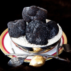 Périgord Truffles