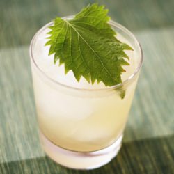 Shiso Lemonade