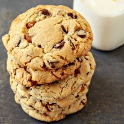 Turtle Cookies