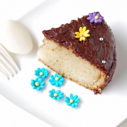 Eggless Vanilla Cake