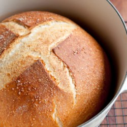 Dutch Oven Bread