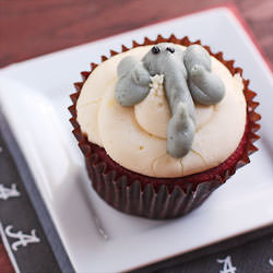 Alabama Cupcakes!