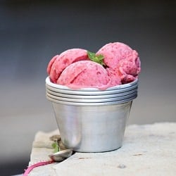 Plum Frozen Yogurt