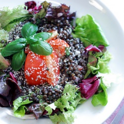 Lentils, Tomatoes and Mixed Leaves
