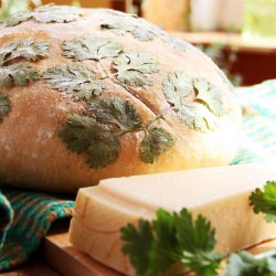 Mediterranean Bread