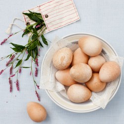 Eggs for The Baked Eggs