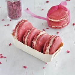 Rose Macarons with White Chocolate